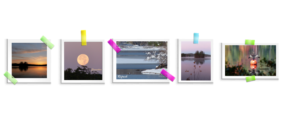 Vote for the 2024 Calendar Cover!