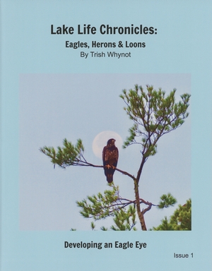 Lake Life Chronicles: Eagles, Herons & Loons