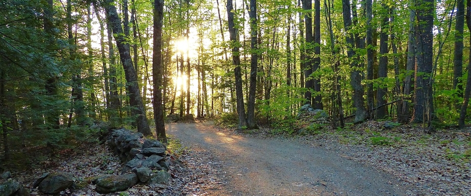 Walking Meditation