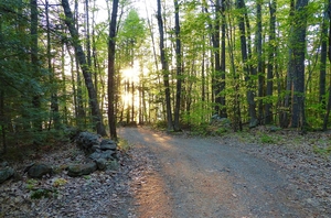 Walking Meditation