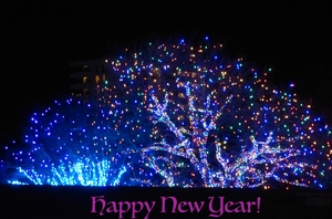 Happy New Year!