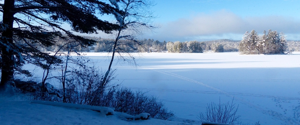 New Year; Fresh Tracks: Ruby Slippers?