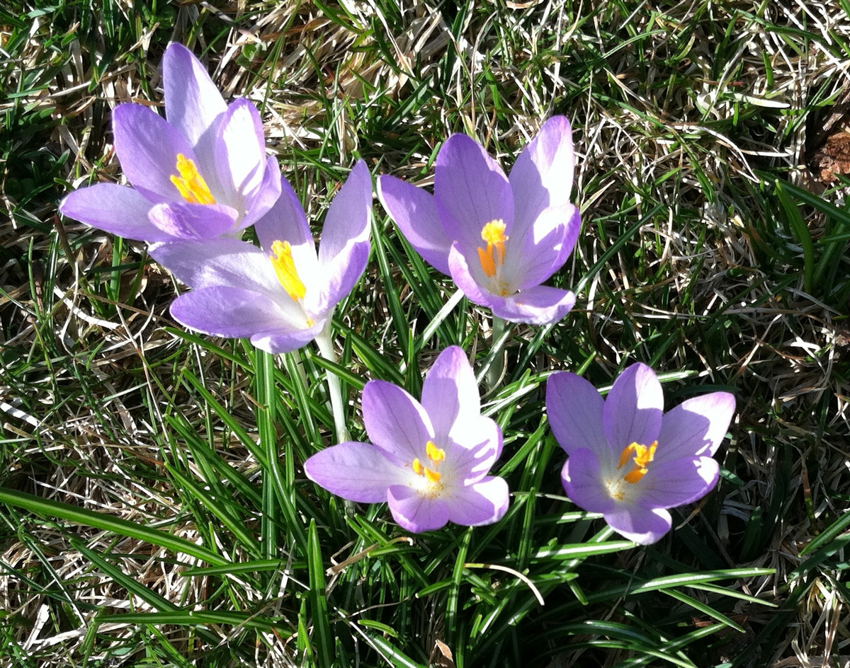 Happy Equinox!