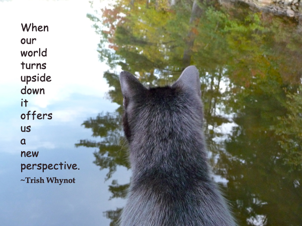 When our world turns upside down it offers us a new perspective.