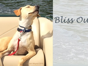 Bliss Out